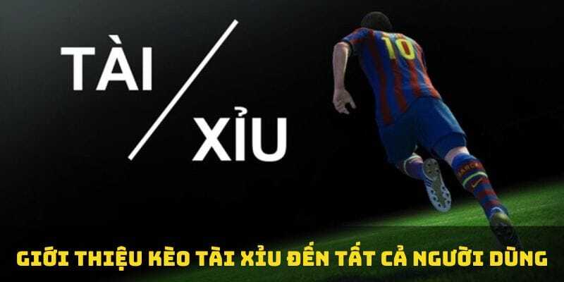 Kèo Tài Xỉu Là Gì? Cách Đọc Kèo Tài Xỉu Hay Từ Cao Thủ 2 Kèo Tài Xỉu 2 trái