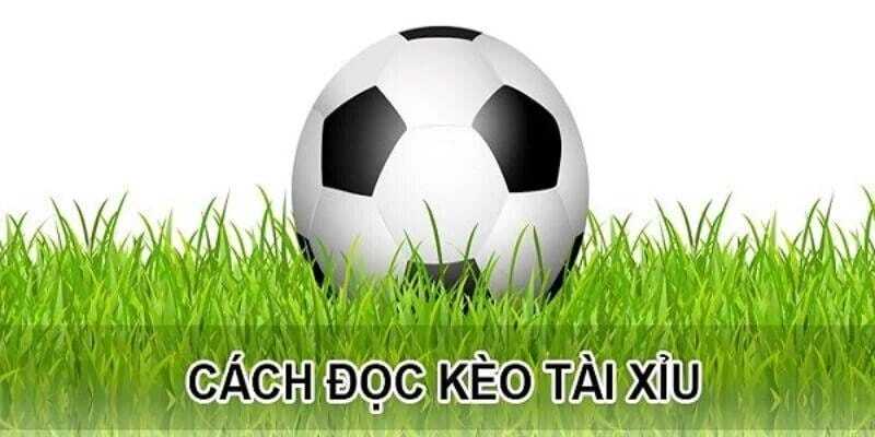 Kèo Tài Xỉu Là Gì? Cách Đọc Kèo Tài Xỉu Hay Từ Cao Thủ 3 Kèo Tài Xỉu bí quyết đầu tư